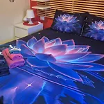 Lady D Bed & Breakfast