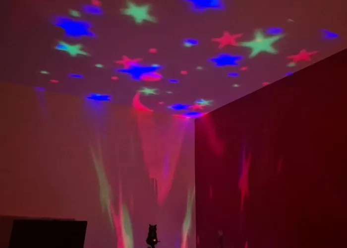 Lady D Отель типа 