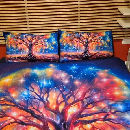 Bed & Breakfast Lady D